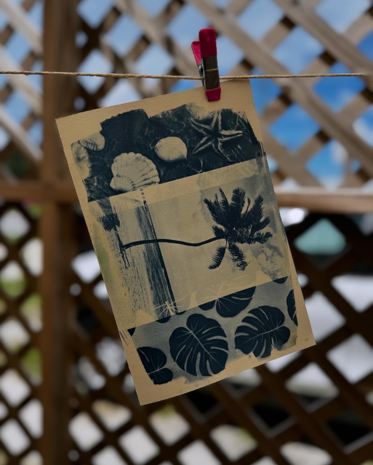 Cyanotype Kit