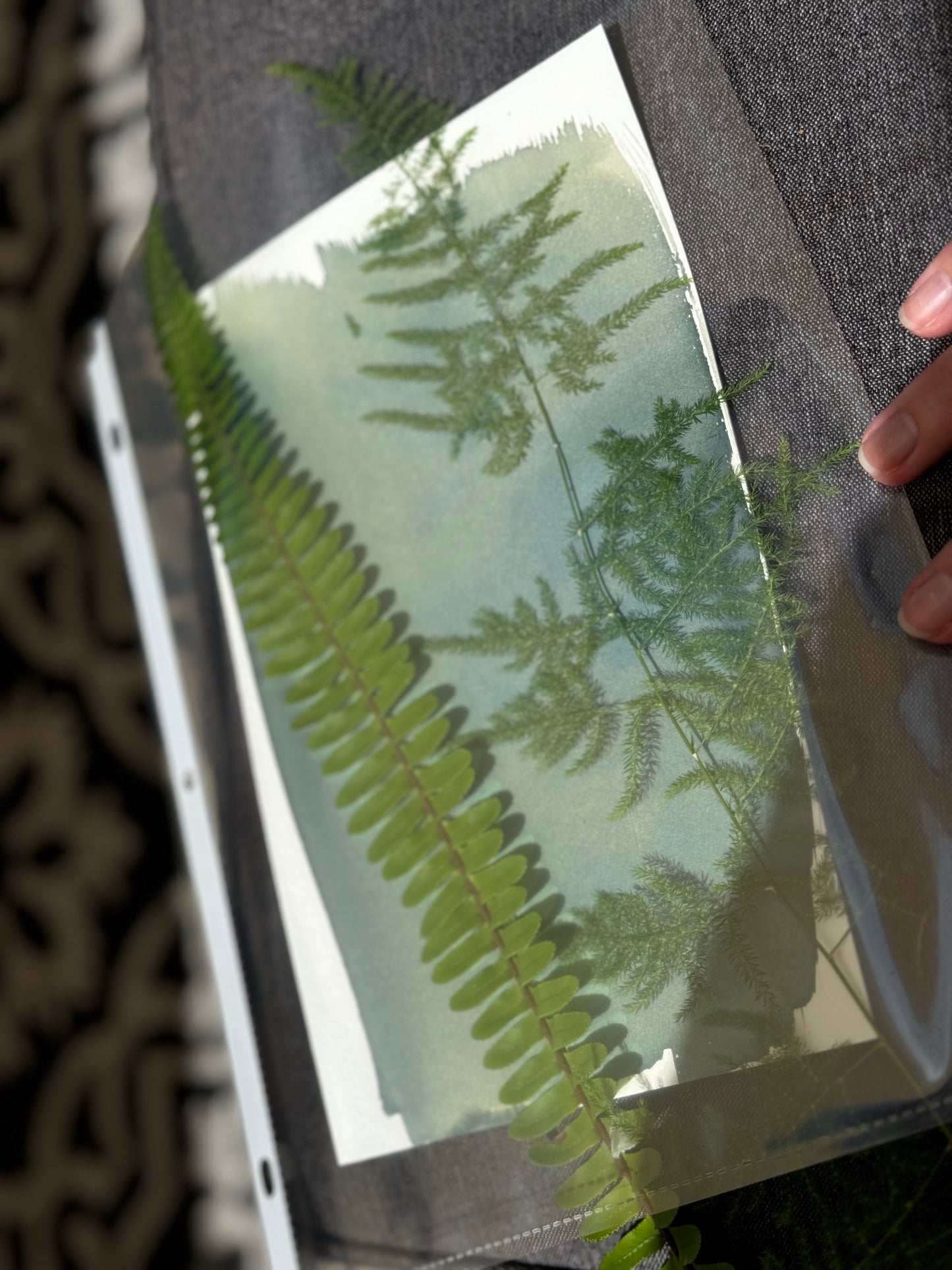 Cyanotype Kit
