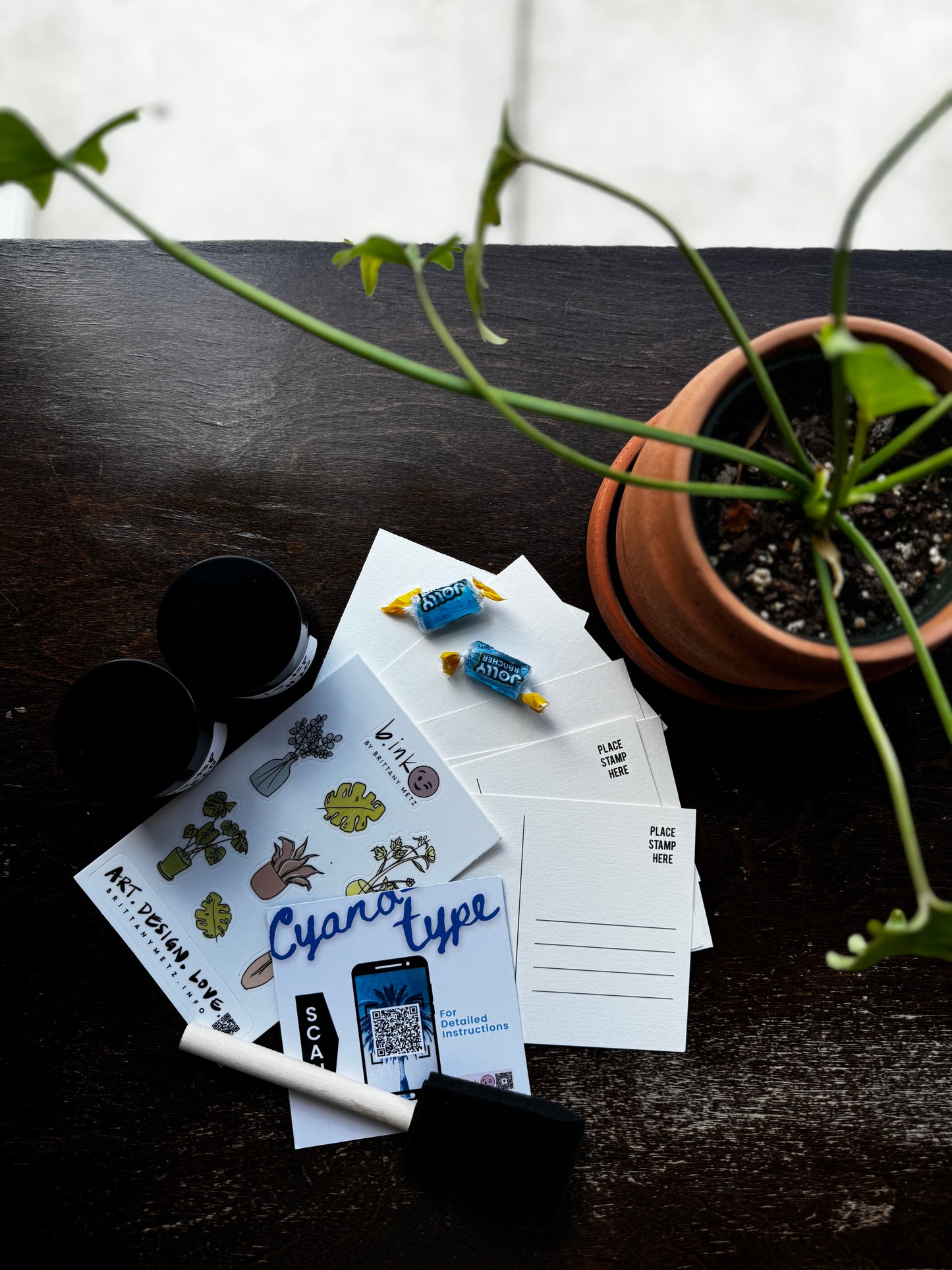 Cyanotype Kit