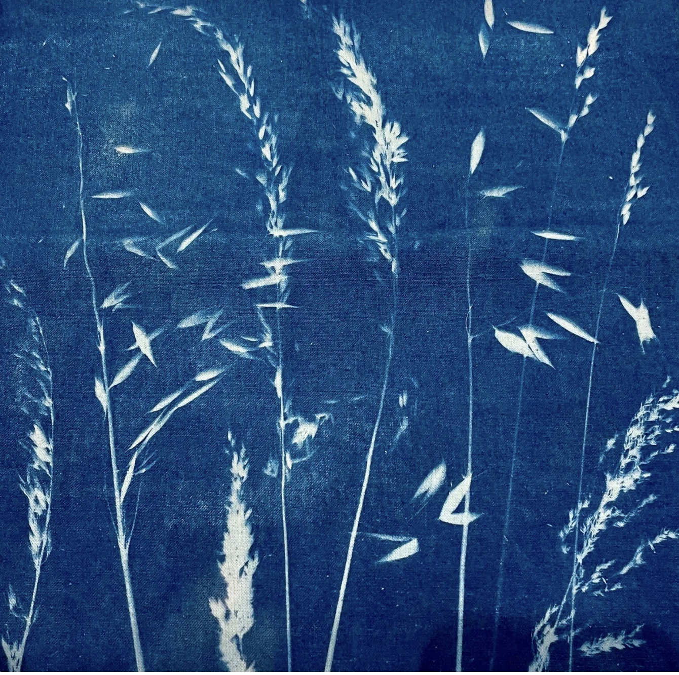 Cyanotype Tote Making Workshop at Botanical House